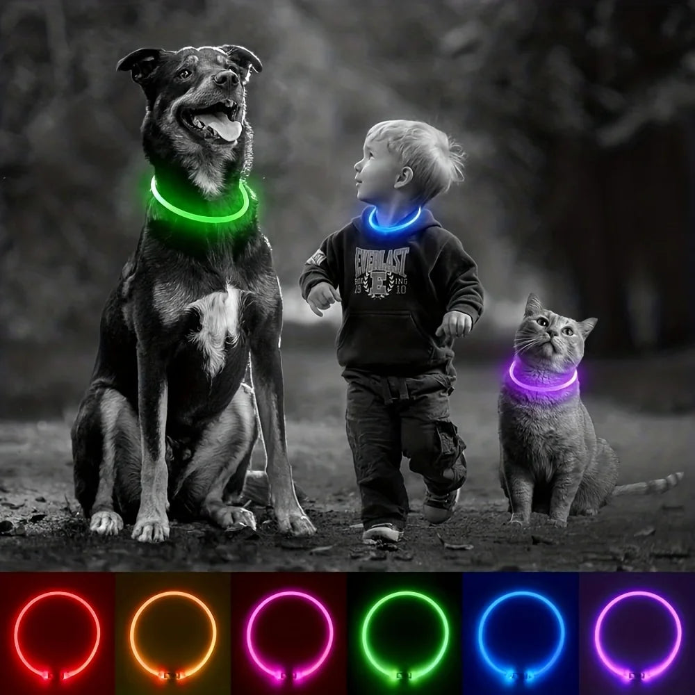 LED Light Dog Collar|USB Rechargeable