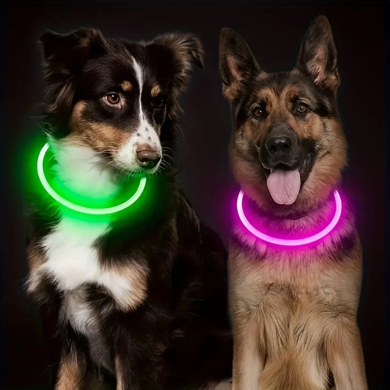 LED Light Dog Collar|USB Rechargeable
