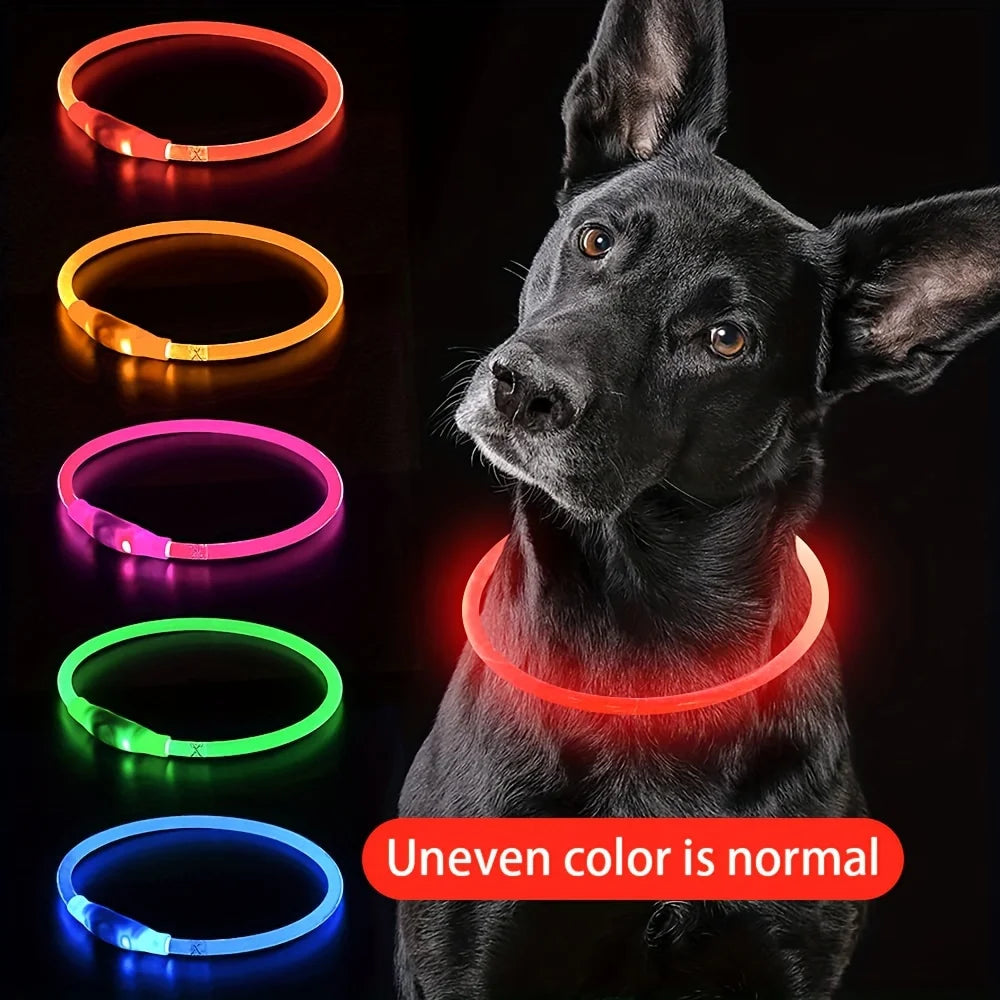LED Light Dog Collar|USB Rechargeable