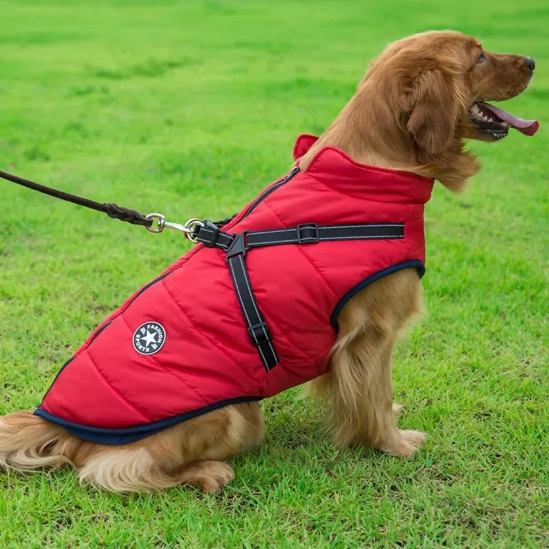 Waterproof Dog Jacket W/ Harness