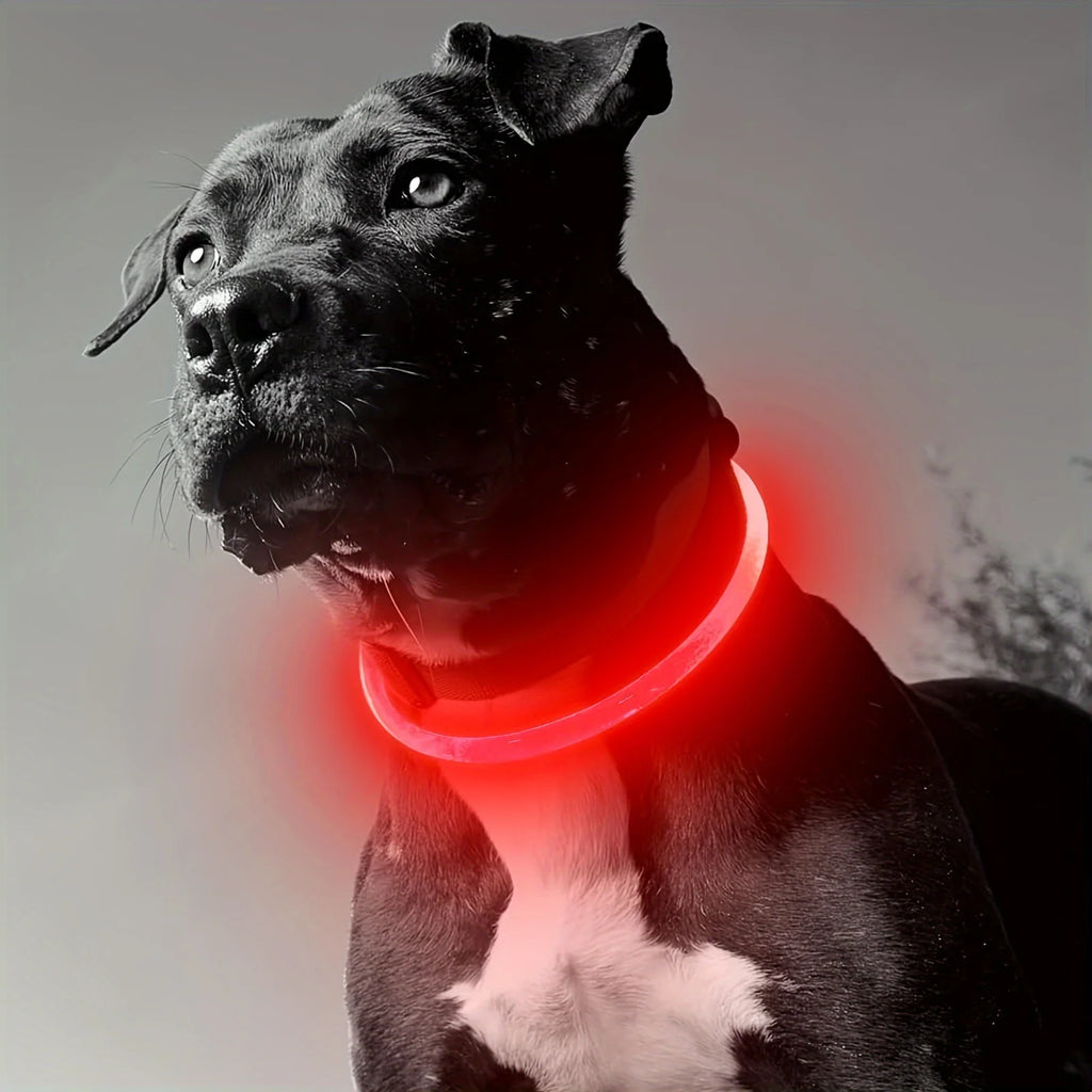 LED Light Dog Collar|USB Rechargeable