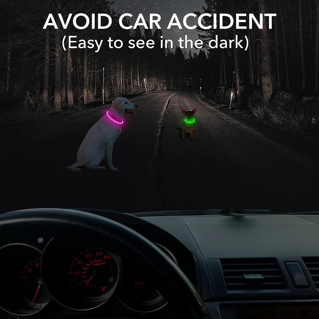 LED Light Dog Collar|USB Rechargeable