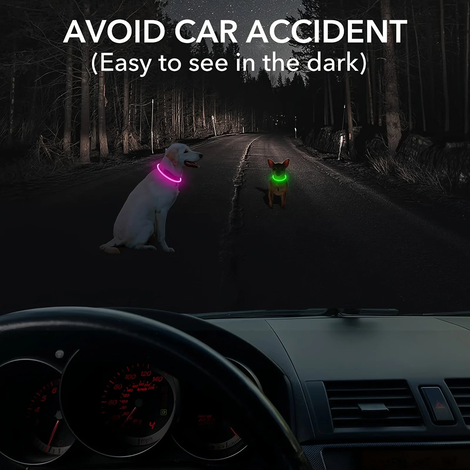 LED Light Dog Collar|USB Rechargeable